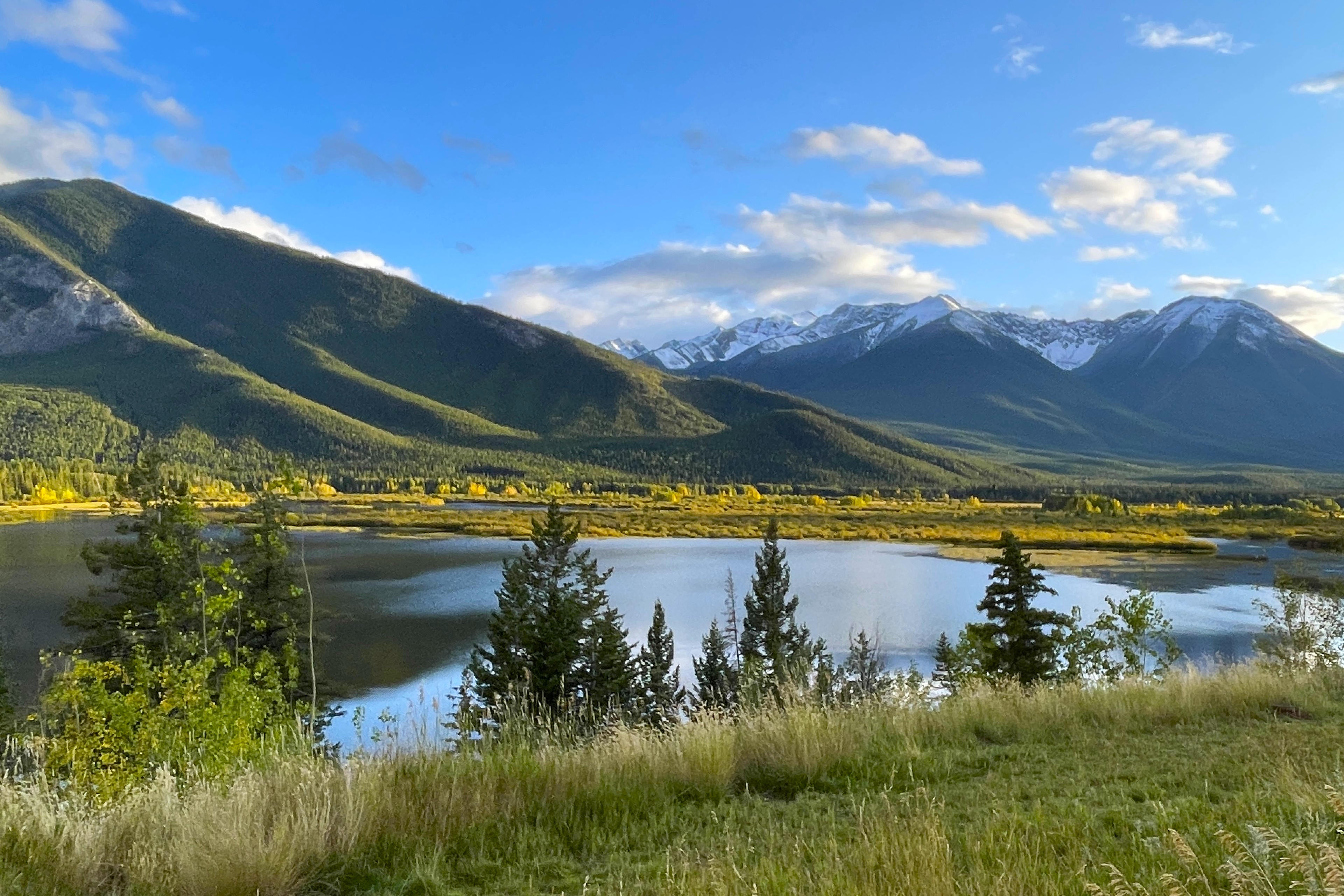 NP Banff